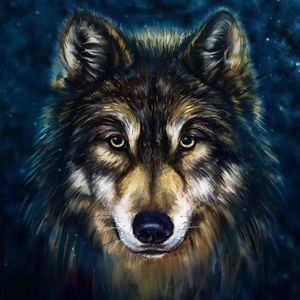 Meet your Posher, Jorge